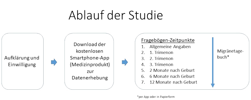 Studienablauf